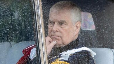 Prince Andrew accused of cash gone after the death of Virginia Giuffre