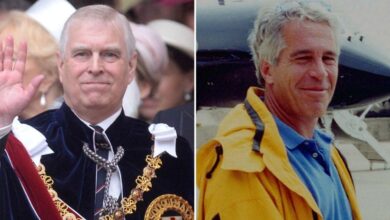 Prince Andrew 'terrified' to return to the US because of Epstein probe