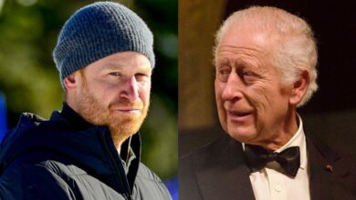 Prince Harry, King Charles Hold Secret Peace Messages in the midst of Royal Gorge