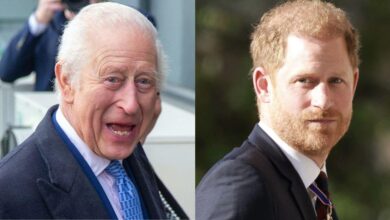 Prince Harry, King Charles reunite herself in the midst of Monarch's debilitating cancer fight