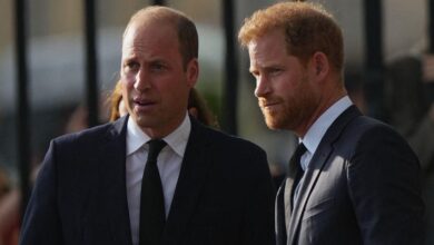 Prince William and Harry are ready to meet at Cousin's wedding