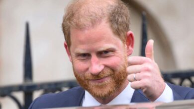 Royal Expert reveals why Harry Back Welcome is Vitaal Belang
