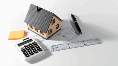 Contributor's Piece (9)