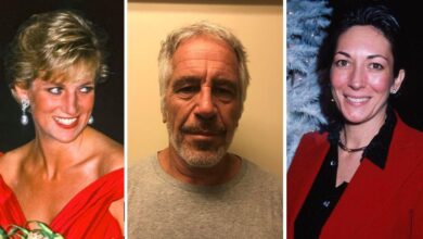 Was Princess Diana set up on a date with Jeffrey Epstein?