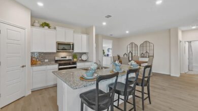 '$ 50,000 in housing stimuli helped us buy more house for less'