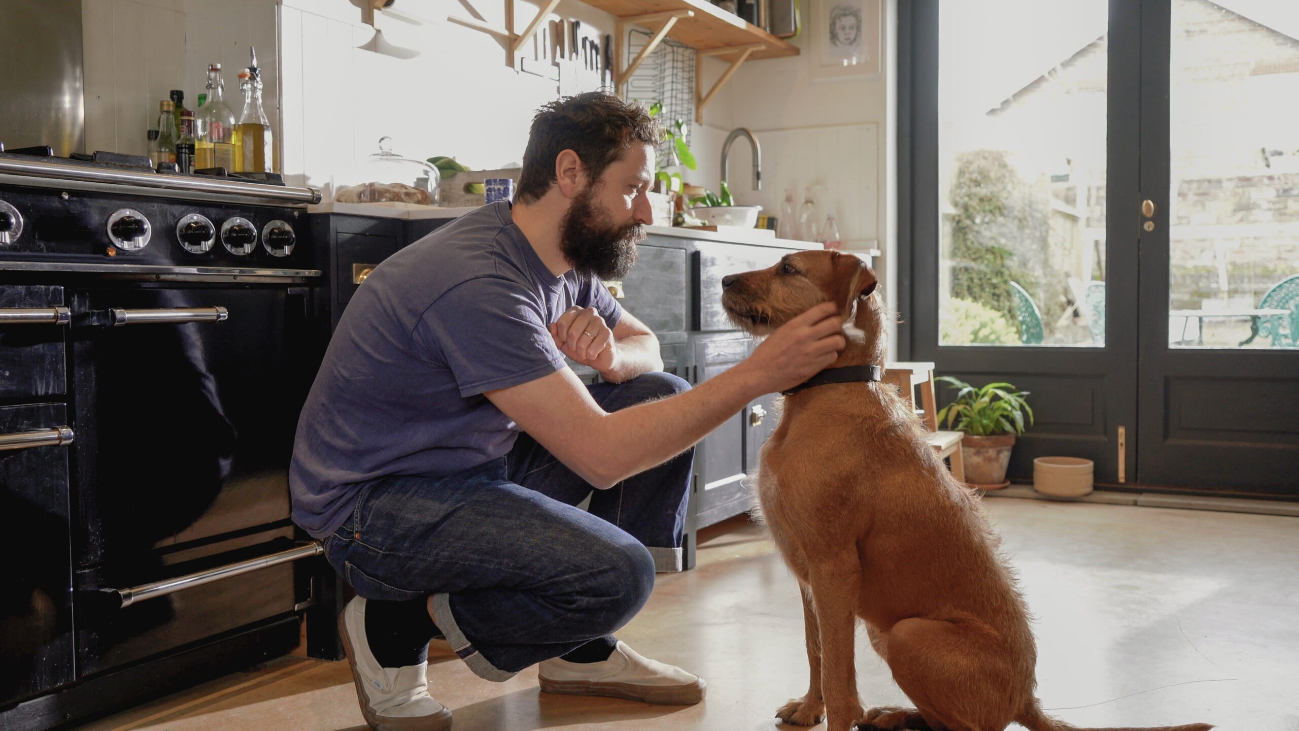 Americans are shrinking - but their dogs are not