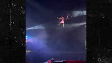 Circus executor dives to the ground in the air stunt went wrong