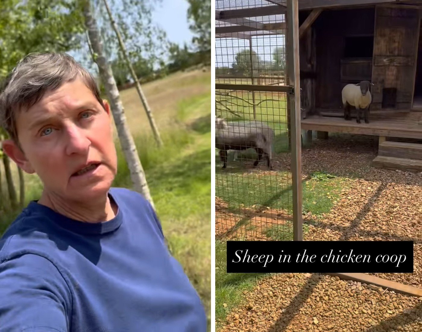 Ellen Degeneres reveals secrets behind her 'very lucrative' $ 190 million home-flipping 'hobby'