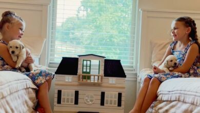 Josh Duggar's wife Anna Sparks Backlash after launching 'Insane' dog breeding activities for $ 1 million Arkansas Home