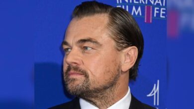 Leonardo DiCaprio 'Raging' about 'Epstein-Stijl Network' Claims
