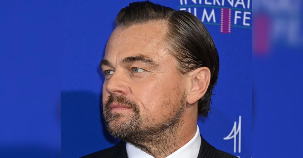 Leonardo DiCaprio 'Raging' about 'Epstein-Stijl Network' Claims