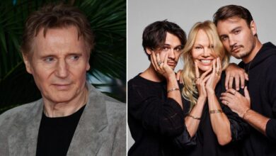 Pamela Anderson's sons 'petrified' Liam Neeson will leave her deeply sadded