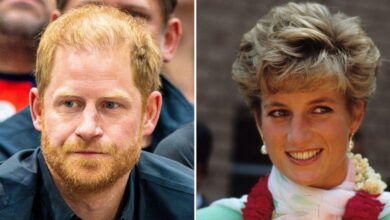 Prince Harry hopes that Netflix Doc on Princess Diana Doc will 'save' him