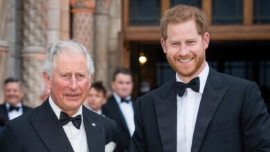 Prince Harry visits charity in honor of Princess Diana na Charles Reunion
