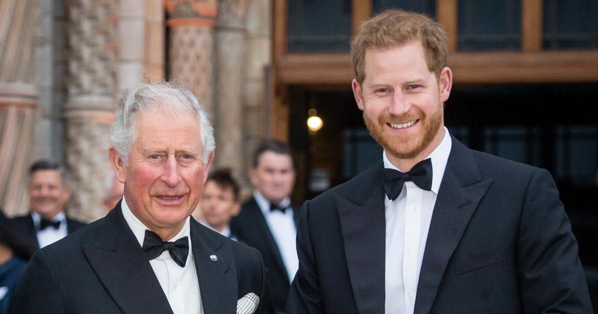 Prince Harry visits charity in honor of Princess Diana na Charles Reunion