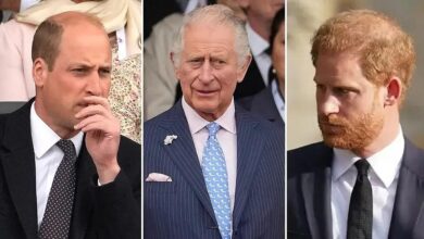 Prince William 'Walt' by Harry's attempt to 'manipulate' daddy