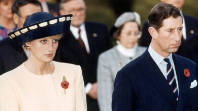 Princess Diana 'collected men' and had throwing a huge rocker
