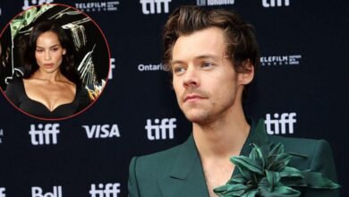 Secrets of Harry Styles' $ 16 million sex toys Empire unveiled