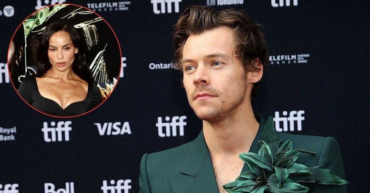 Secrets of Harry Styles' $ 16 million sex toys Empire unveiled