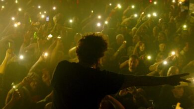 South International Series Festival 2025 Line -Up