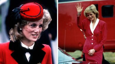 The last year of Princess Diana investigated 28 years after her tragic death