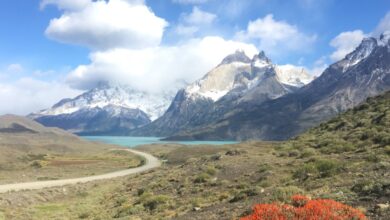 ZDF Studios joins Patagonia. Which paradise hides'