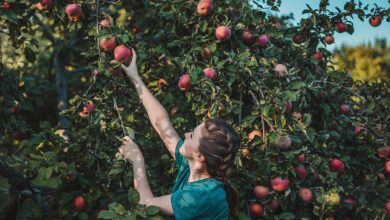 5 Fall Scents That Will Help You Sell Your Home