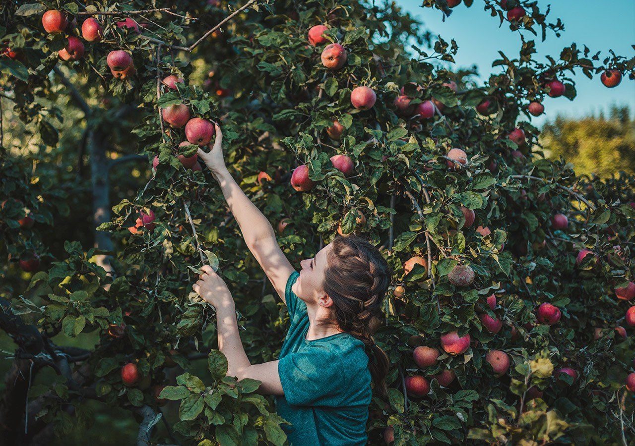 5 Fall Scents That Will Help You Sell Your Home