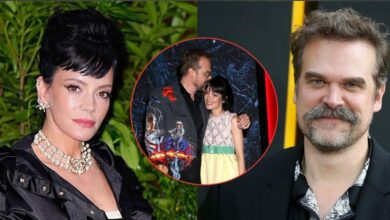 A look inside Lily Allen's 'plan' to take down her cheating ex David Harbour