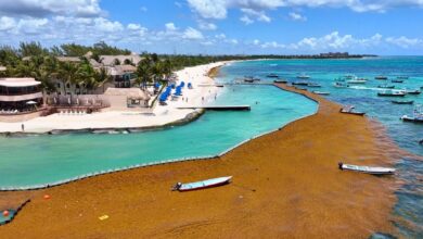 Planning a 2026 Cancun Vacation? Here Are the Beaches Most Affected by Sargassum To Avoid