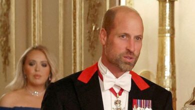 As king, Prince William planned major constitutional reforms