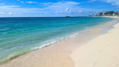 Cancun Enters Final Stretch of 2025 Sargassum Season