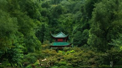 Daily non-stop flights between Hong Kong and Changsha Mark Cathay's continued network growth | News