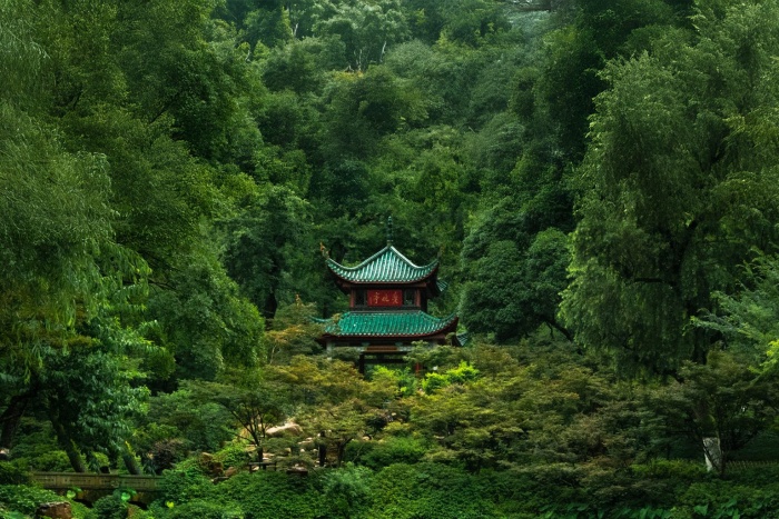 Daily non-stop flights between Hong Kong and Changsha Mark Cathay's continued network growth | News