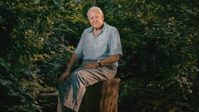 David Attenborough becomes the oldest Daytime Emmy winner ever at the age of 99