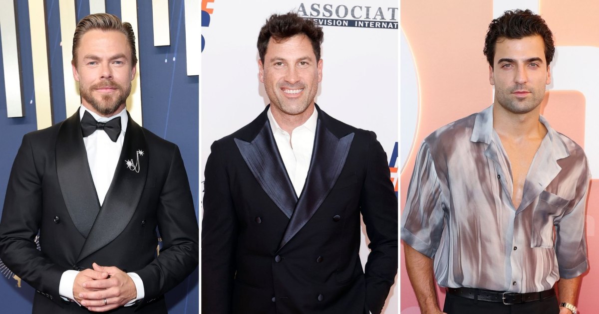 Derek Hough supports Jan Ravnik after Maks Chmerkovskiy's comments