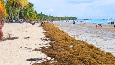 Dominican Republic Continues Seeing High Sargassum Arrivals Through October (VIDEO)