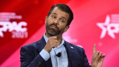 Donald Trump Jr. is fueling a wild conspiracy on social media about his tweets