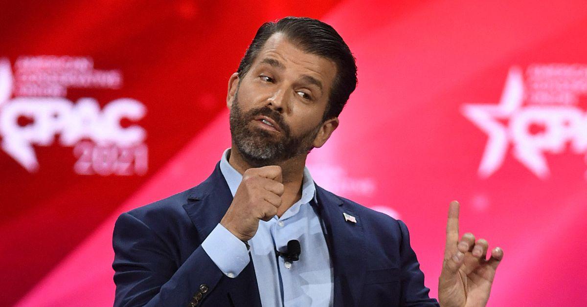 Donald Trump Jr. is fueling a wild conspiracy on social media about his tweets