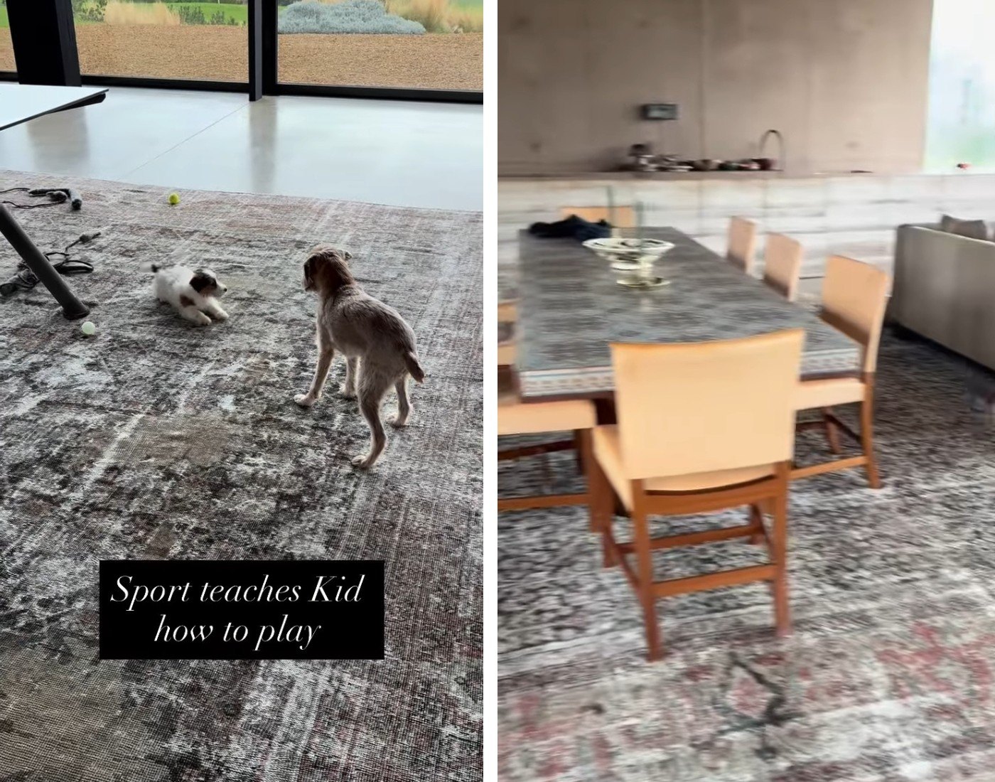 Ellen DeGeneres shares a rare look at a glass-walled British farmhouse as her other British home remains on the market for $30 million