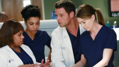Grey's Anatomy reveals surprise pregnancy and sabbatical after tough death