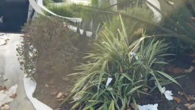 HGTV Star Christina Haack's $12 Million California Home Features Toilet Paper in Halloween Prank