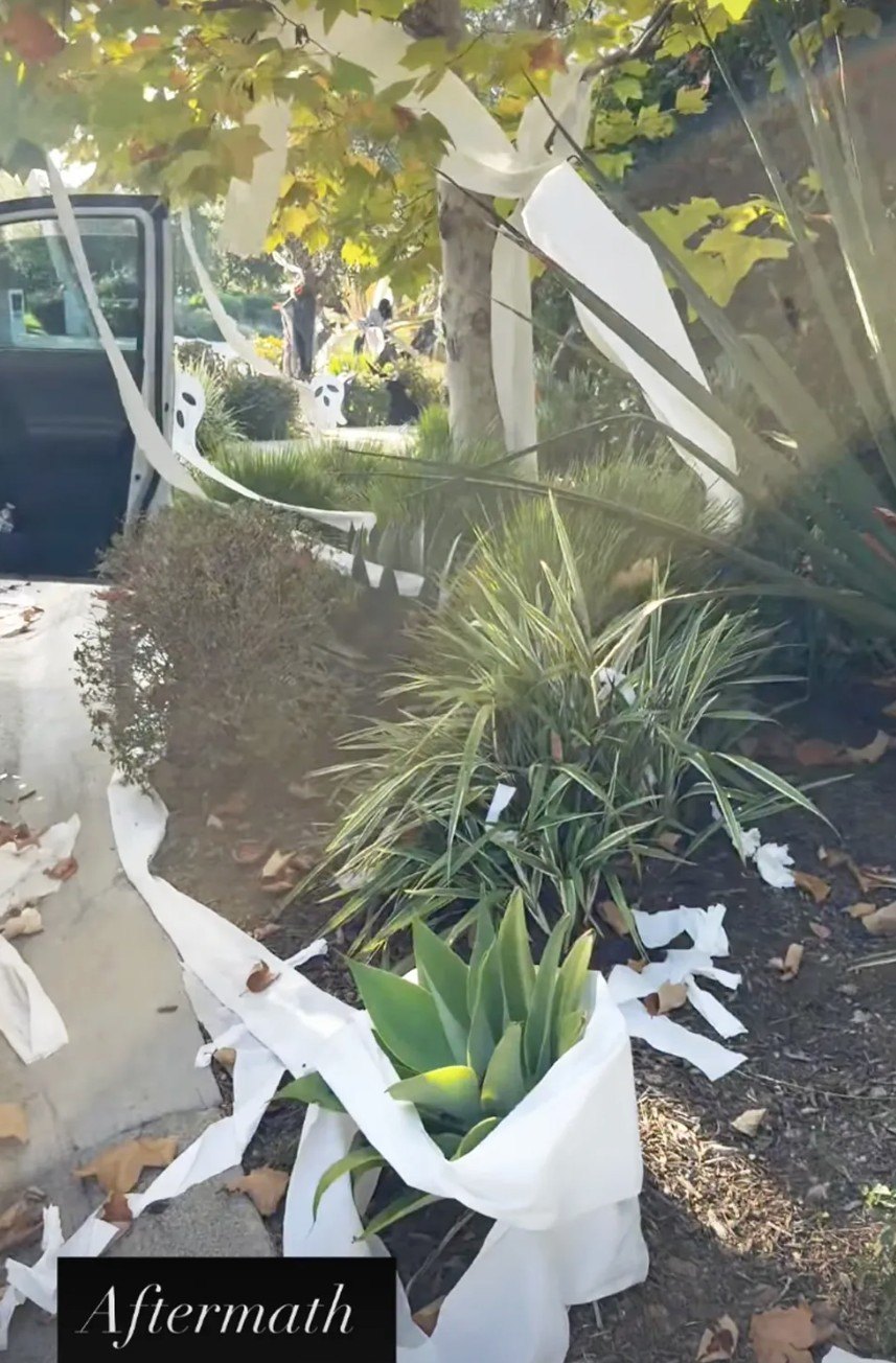 HGTV Star Christina Haack's $12 Million California Home Features Toilet Paper in Halloween Prank
