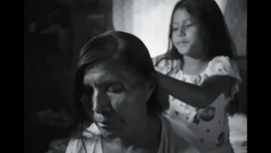 Jodie Foster, Juliette Binoche, Stellan Skarsgård Members at Morelia