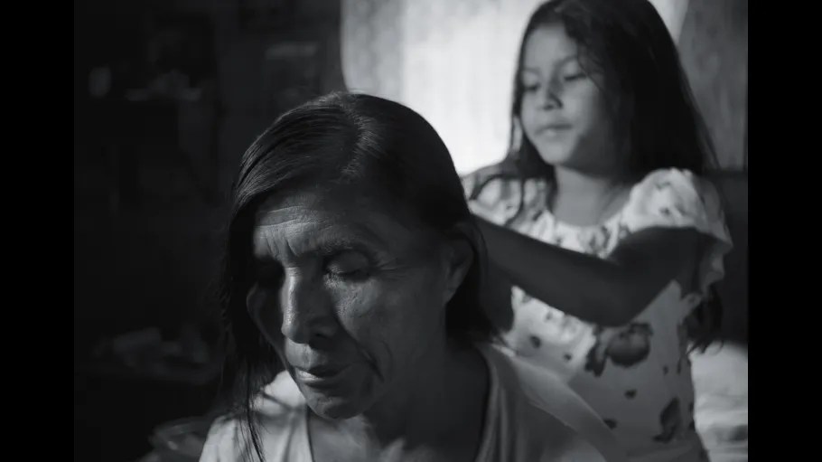 Jodie Foster, Juliette Binoche, Stellan Skarsgård Members at Morelia