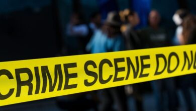 Man accused of slashing wife and slitting mother-in-law's throat while children were home