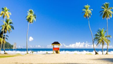 No Evidence of Credible Threat Behind U.S. Alert in Trinidad & Tobago, Says Police