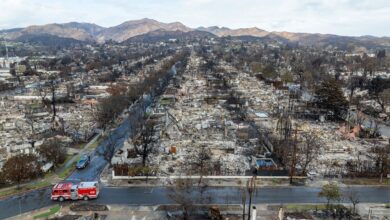 Palisades fire aftermath. Aerial view of neighborhood