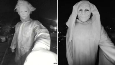 Police looking for mask-wearing trio who terrorized family on camera