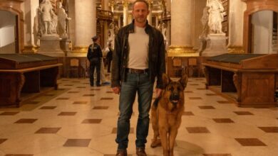 'Rex - Vienna Calling' starts production